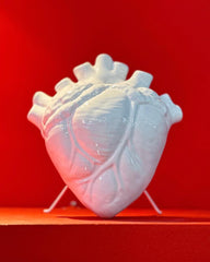 Corazon anatomico en ceramica blanco big